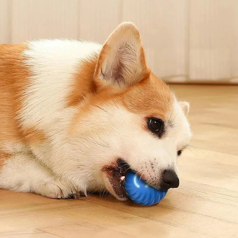 Automatic Moving Dog Ball Toy – Smart Rechargeable Interactive Pet Ball for Endless Play