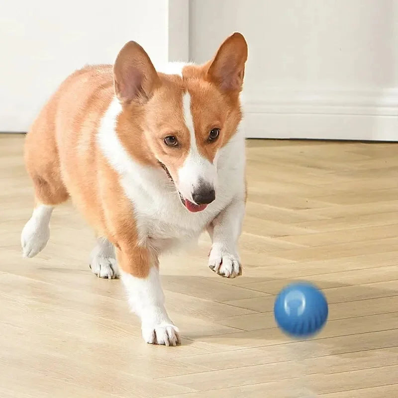 Automatic Moving Dog Ball Toy – Smart Rechargeable Interactive Pet Ball for Endless Play