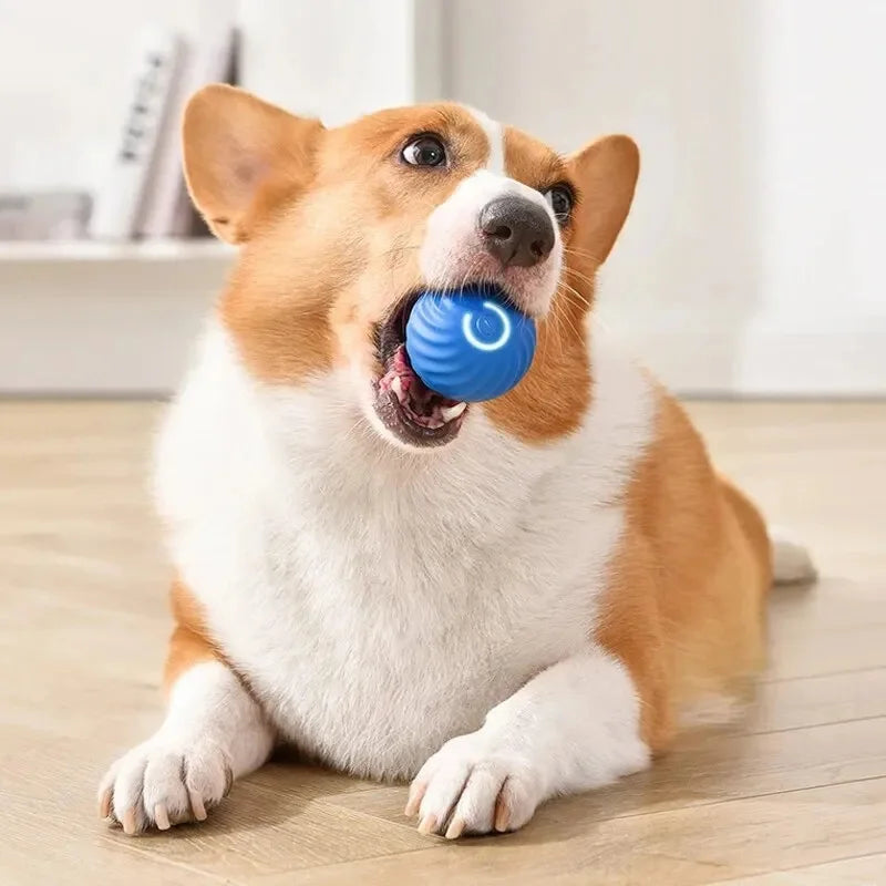 Automatic Moving Dog Ball Toy – Smart Rechargeable Interactive Pet Ball for Endless Play